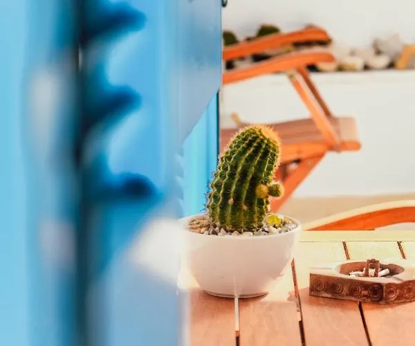 3 Venti - Ostria Διαμέρισμα *